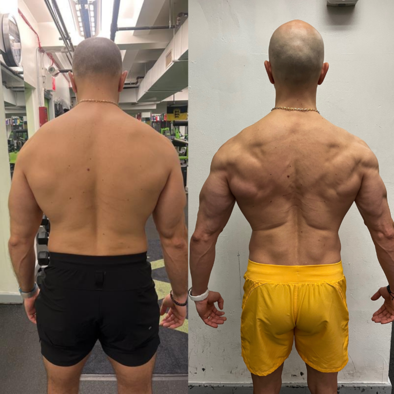 muscle-building-fitness-journey